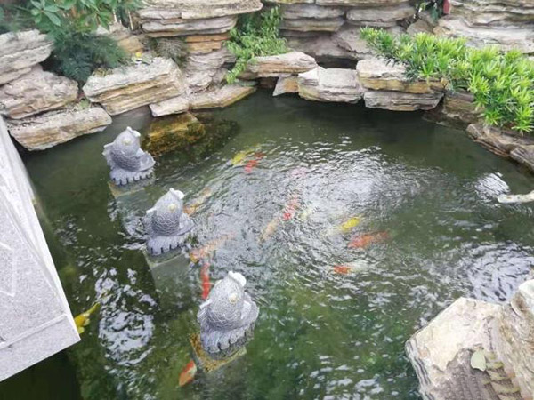 別墅花園設(shè)計(jì)里添加個(gè)魚池設(shè)計(jì)怎么樣？